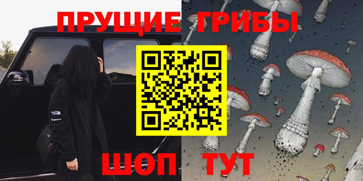 Горячий Ключ  Галлюциногенные грибы прущие грибы  Вход с VPN 