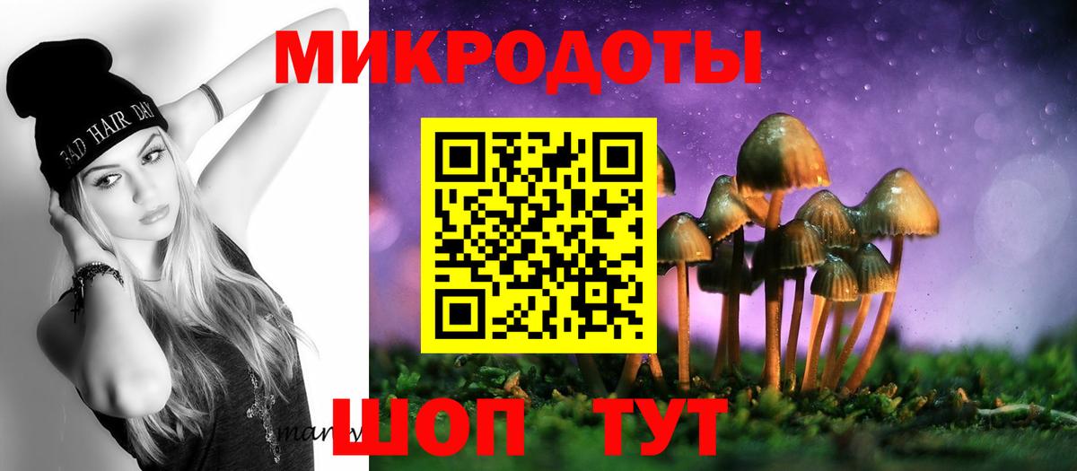 Псилоцибиновые грибы Psilocybine cubensis Горячий Ключ